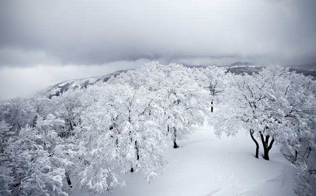 A storm front moves over the upper area of Nozawa Onsen yesterday.