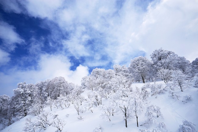 Sunny Nozawa Onsen landscape yesterday.