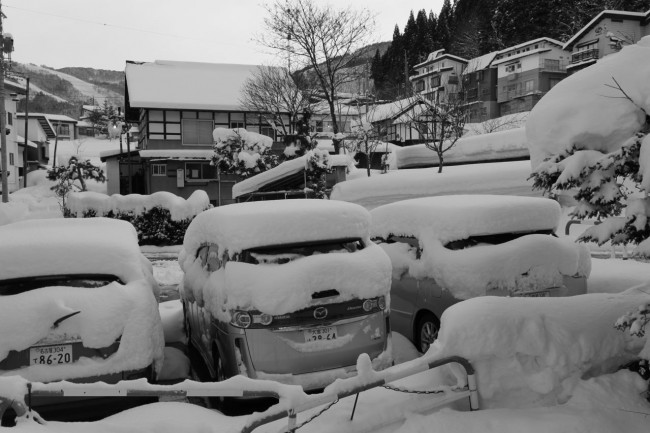 The big dumps just keep coming this March in Nozawa.