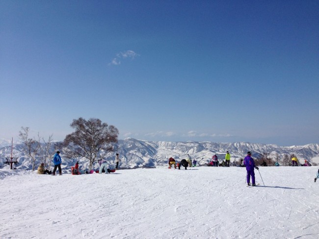 Beautiful March Bluebird in Nozawa 