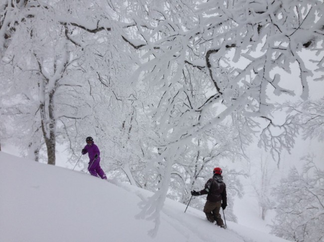 Gab and Luke from Nozawa Holidays have seem more powder days than your average. They said yesterday was one of the best!