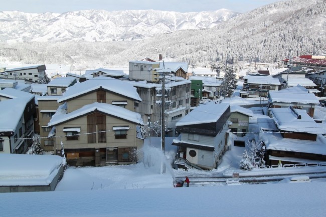 Hard to believe it is the end of March in Nozawa with 40cm overnight 