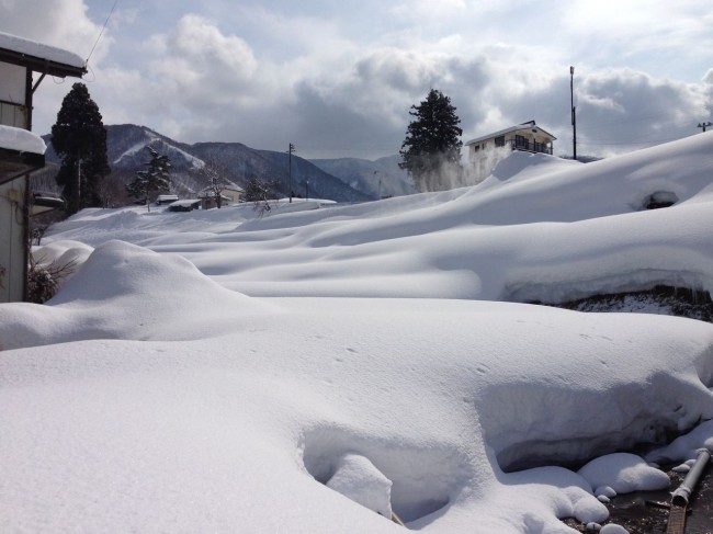 Another "Magic March Foot" in Nozawa overnight with a 350cm base in place