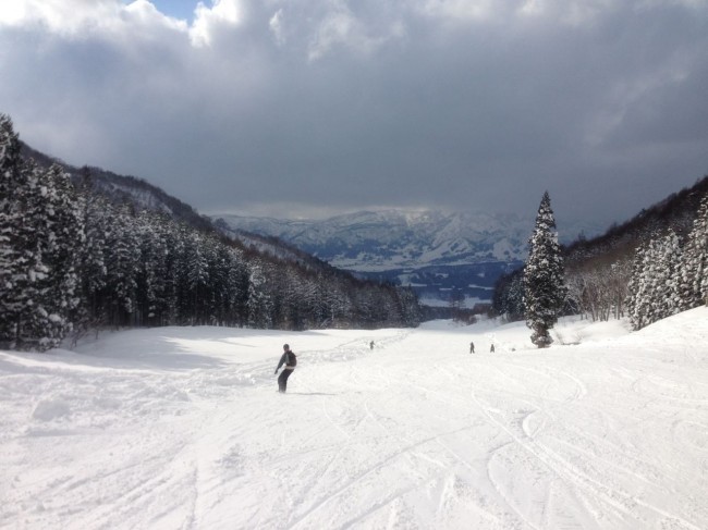 Powder everywhere in Nozawa even on the groomers.