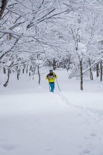 So where are you Lubo?  "NOZAWA"