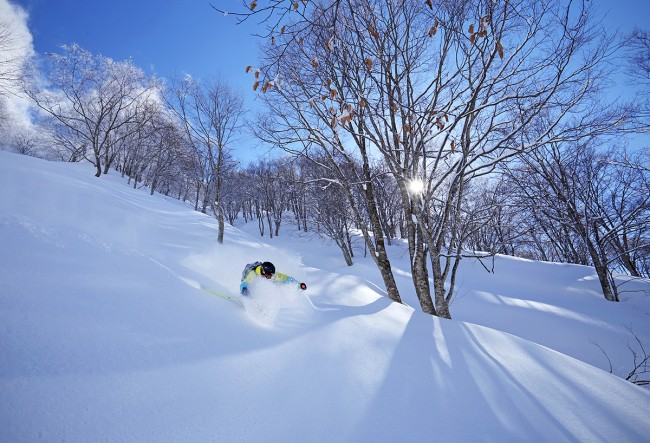 The Best Snow Is At Nozawa