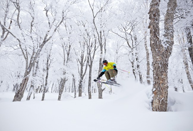 Pavel skiing in the Yamabiko trees yesterday.