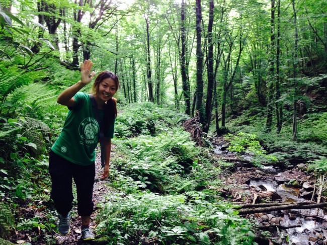 Greeting from Nozawa in Summer. Kyoko san looking for a waterfall for a summer dip