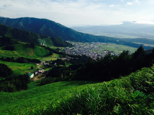 Fields of Green. Nozawa in the warmer months is also very beautiful and lots to see and do