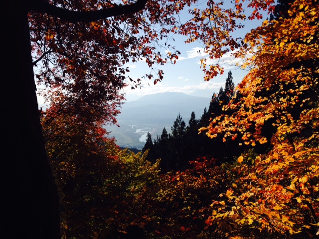 Autumn in Nozawa is one of my favourite times of the year. Amazing colours and weather