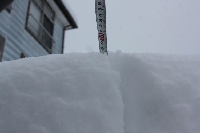 40cm overnight