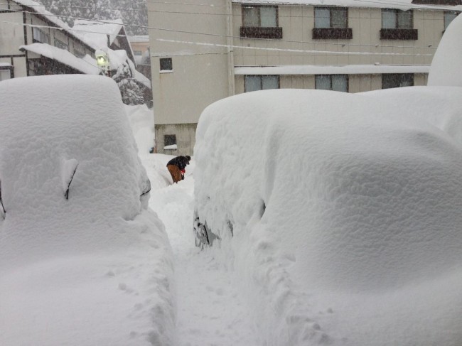 Cars are quickly disappearing in Nozawa today!