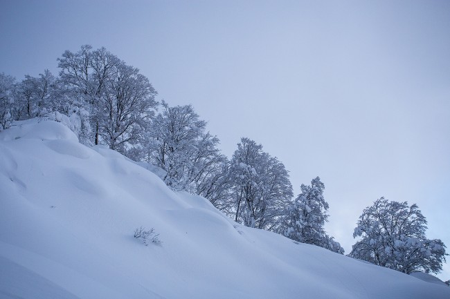 The undulating textures of an unridden slope.