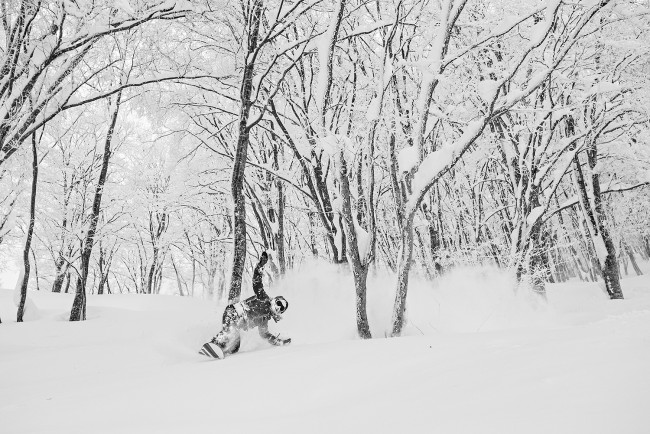 In the trees at Nozawa!!