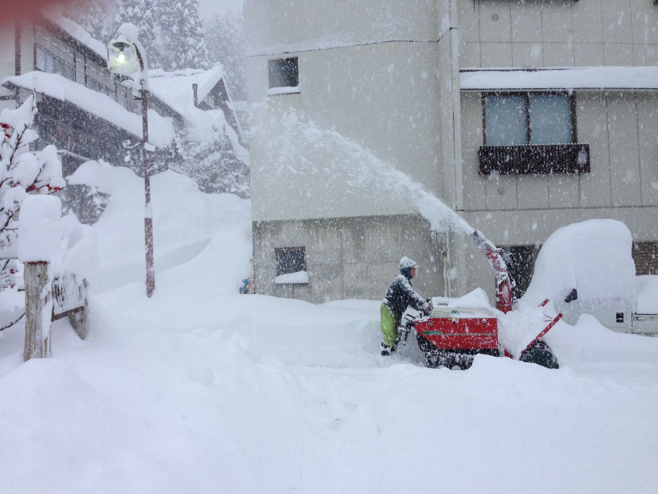 Nozawa Snow Report January
