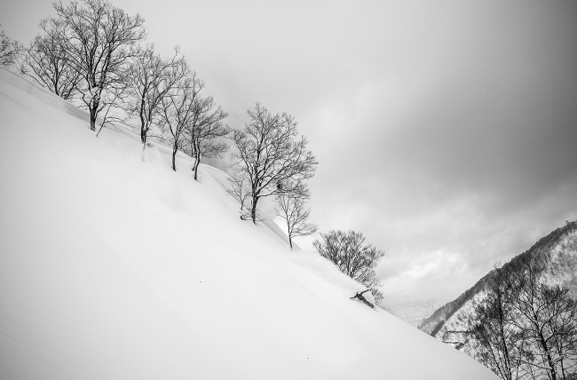 Laying a high speed carve on an untracked slope= perfection.