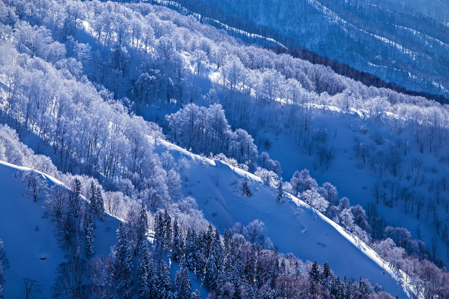 Surrounding landscapes of Nozawa Onsen.