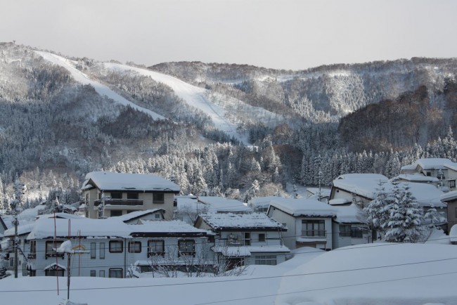 Oh what a perfect day in Nozawa almost 100cm of fresh fallen, sunshine and light winds!