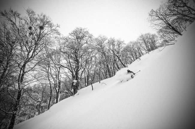 Jerry smashes some powder.