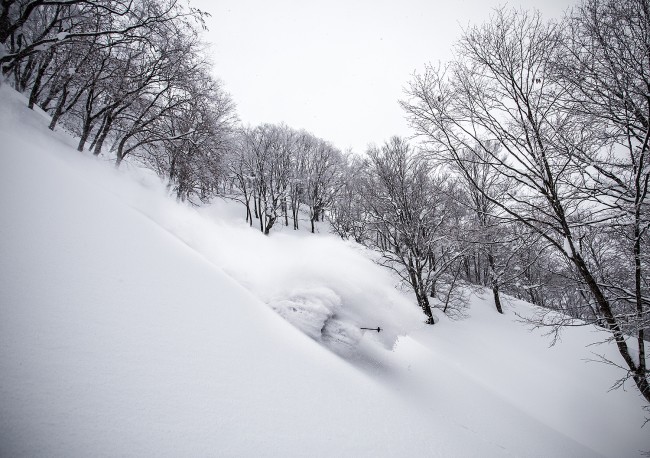 Faceshots in Nozawa Onsen.