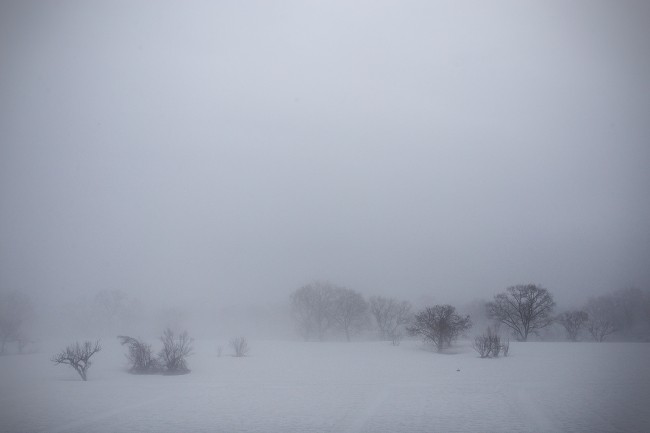 Rain soaked farmland.