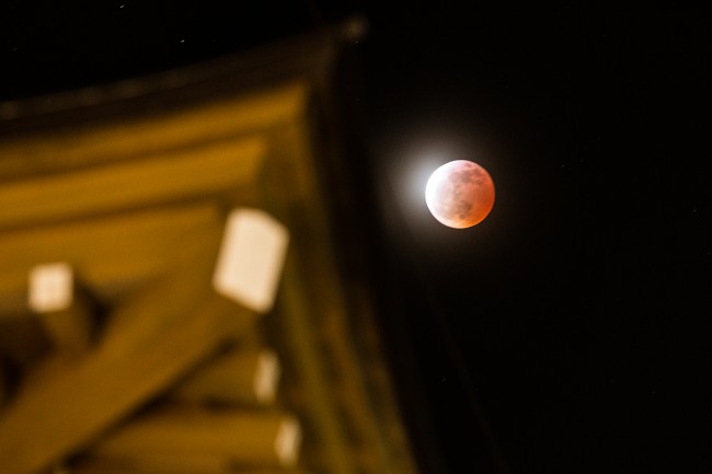 The lunar eclipse last night behind an onsen in town last night.