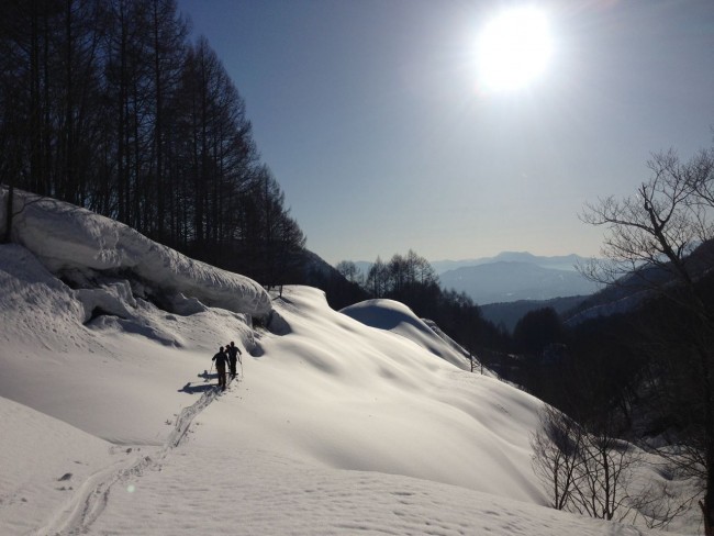 Great time of the year to do some Touring in the surrounding mountains of Nozawa Onsen 