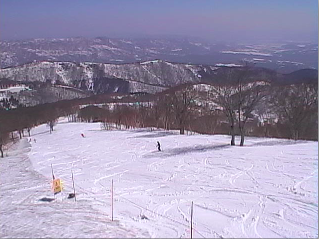 Web Cam shot of Yamabiko this morning, beautiful spring day here in Nozawa 