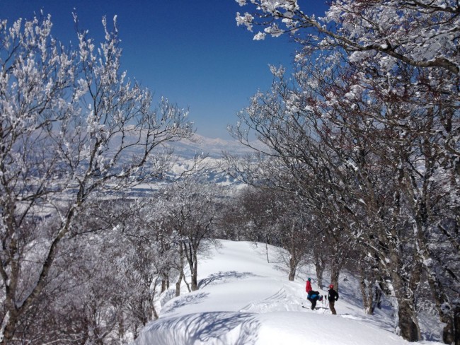 March 2015 snow dump!