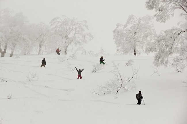 Staff Meeting Nozawa Style 