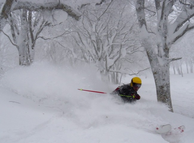 The Knee Deep Powder awaits in Nozawa Onsen
