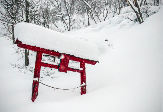 Last season was one to remember in Nozawa Onsen. Looks like this season should kick off in a few days all going to plan.