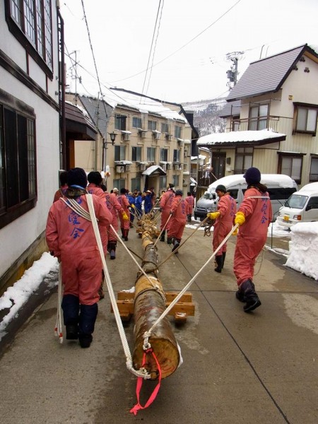 The big days leading up to the big night! Preparation for the Nozawa Onsen Fire Festival begins with dragging the trees thru the village