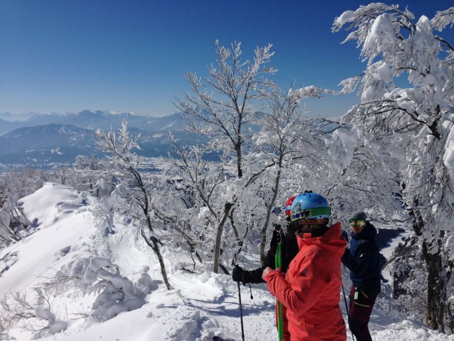 The trees in Nozawa are always something special when they crystallise after a good dump. We had a few pot these days this season.