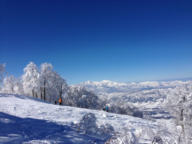 Top of the world. Nozawa Onsen always looks amazing after a good dump and the sun comes out. I guess thats why they call it Bluebird!