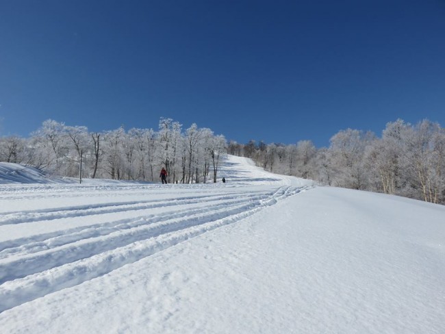 Fresh lines being drawn in Nozawa this morning! Photo by Nozawa Onsen Snow Resort