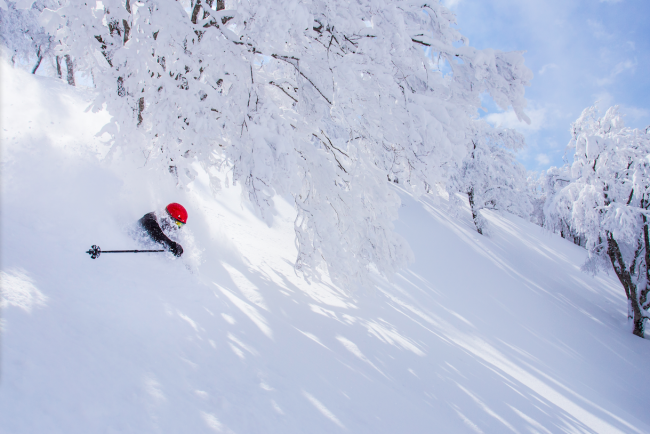 Jetstar Japan Sale on great fares and we sort the rest in Nozawa to ensure a great ski holiday