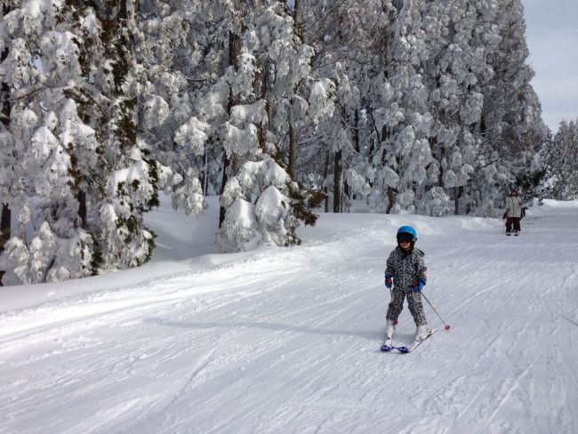 Lots of great beginner runs for the kids in Nozawa Onsen. Kai aged 3 tearing down Uenotaira