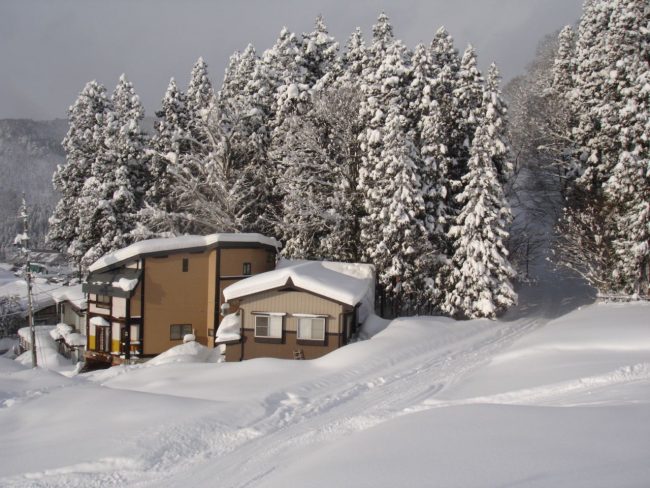 You can't get much closer to the lifts and home train in Nozawa than Koguma Lodge