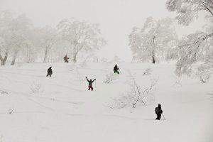 Jobs Nozawa Work Japan Ski