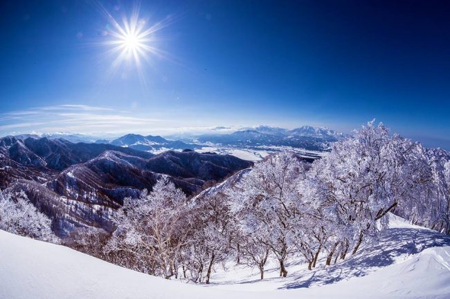 We get the snow but also the sunny days to enjoy it in Nozawa 