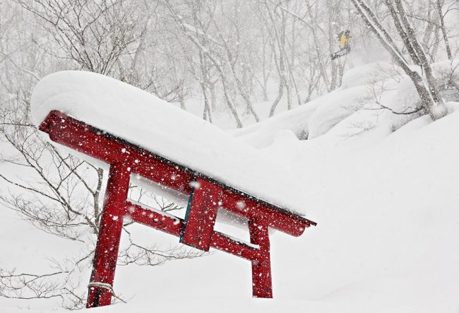 Powder Nozawa Onsen 