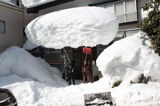 Big Snow Powder Nozawa 