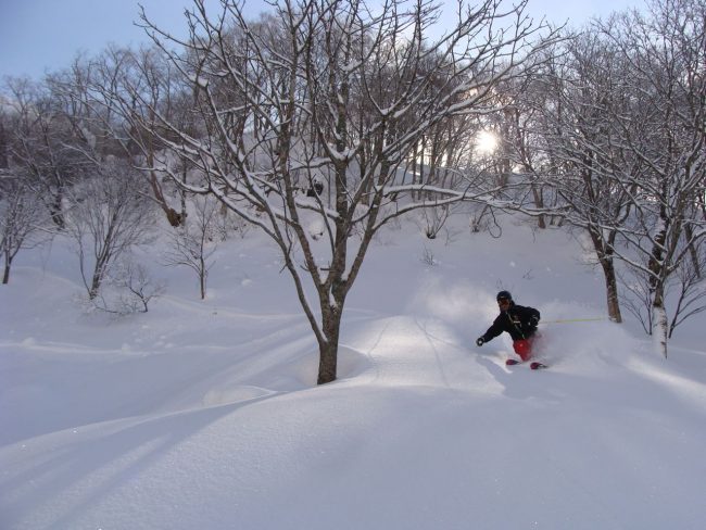 Qantas Fly Nozawa Japan Sale