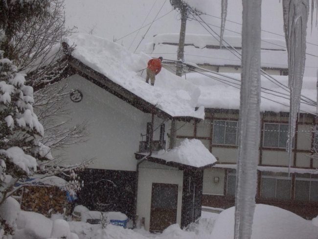 Powder Nozawa La Nina Snow