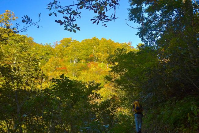 Hike Nozawa Autumn