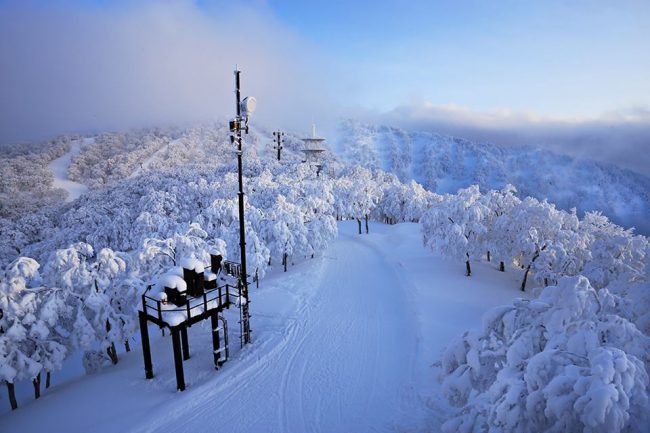 Best View Nozawa Yamabiko