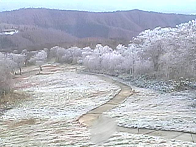 First Snow Nozawa Onsen