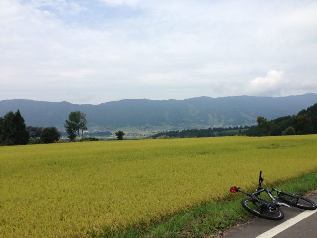 Ride Nozawa Togari Rice 