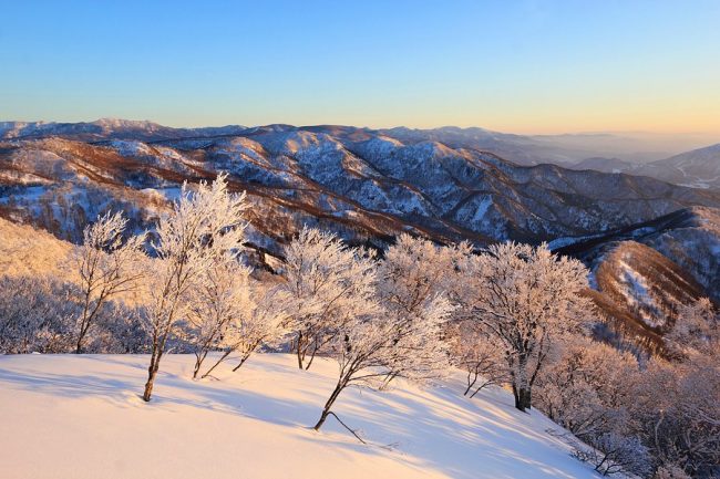 Shigakogen Nozawa Views Season Pass